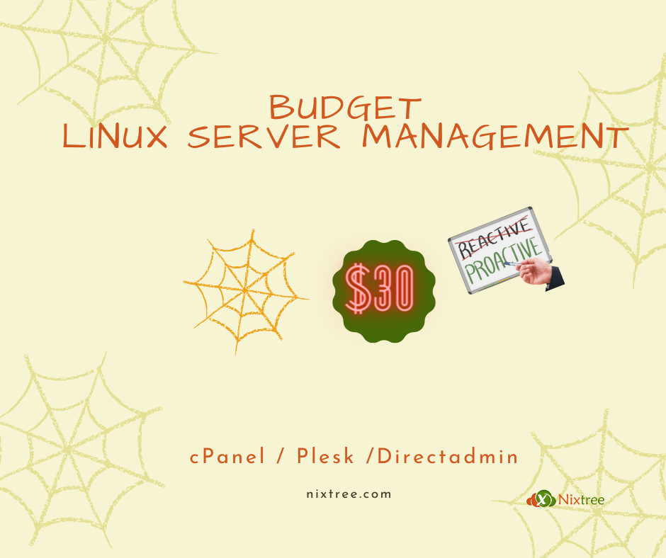 Budget Linux Server Management