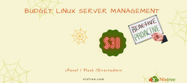 Budget Linux Server Management