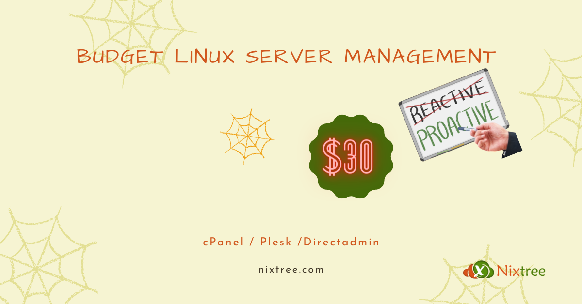 Budget Linux Server Management