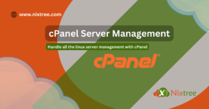 cPanel Server Management