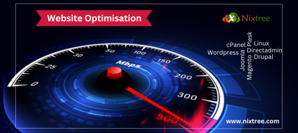 Website Optimization