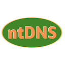 nt dns check